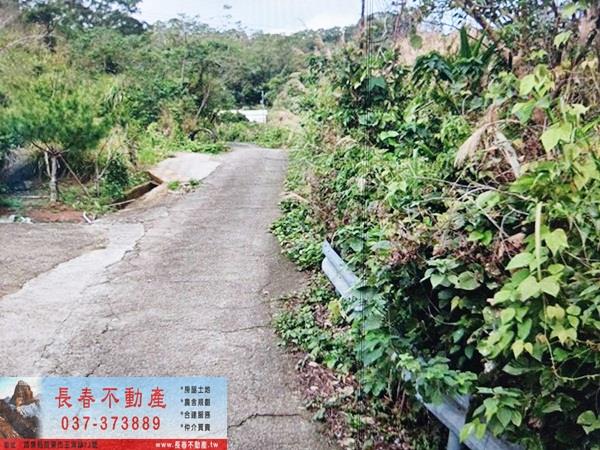 苗栗頭屋農地_山坡地_休閒地-2
