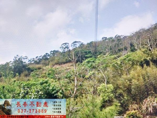 苗栗頭屋農地_山坡地_休閒地-4