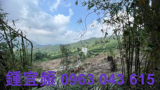 橫山農地_山坡地-6