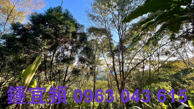 橫山農地_山坡地-15