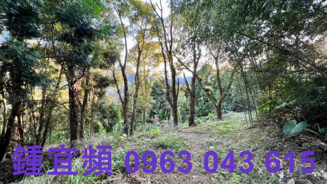 橫山農地_山坡地-11
