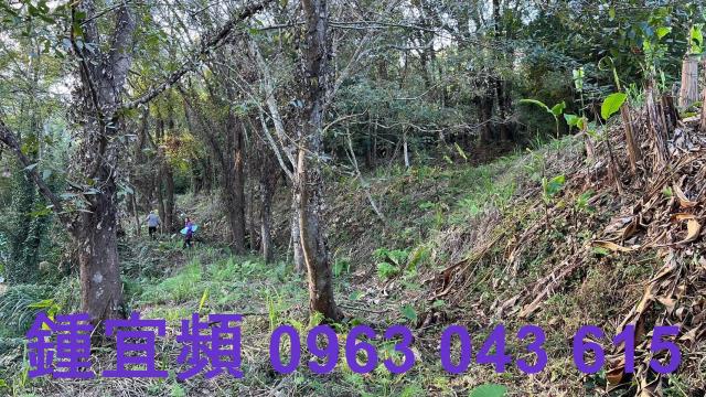 橫山農地_山坡地-13