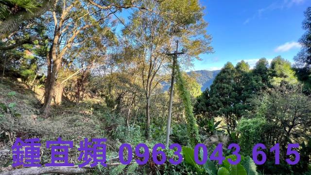 橫山農地_山坡地-14
