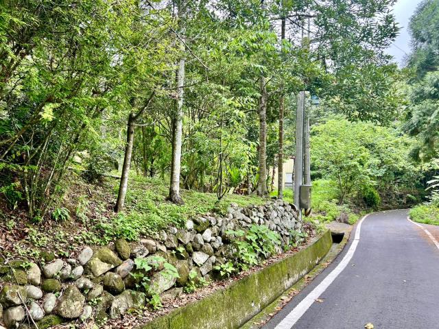 南投鹿谷農地_山坡地_休閒地-11