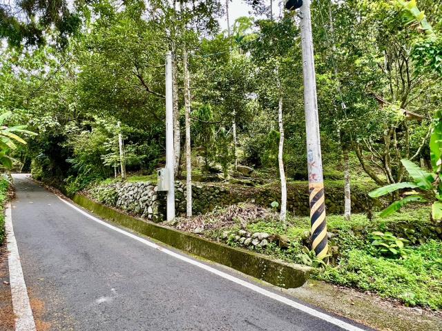 南投鹿谷農地_山坡地_休閒地-13