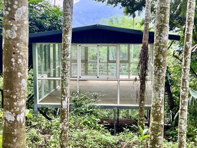 南投鹿谷農地_山坡地_休閒地-9