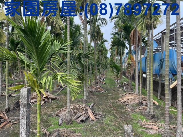 屏東萬丹農地_休閒地-2