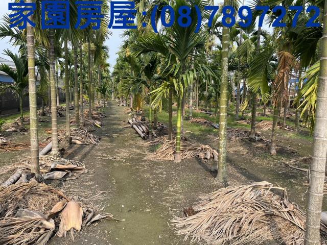 屏東萬丹農地_休閒地-3