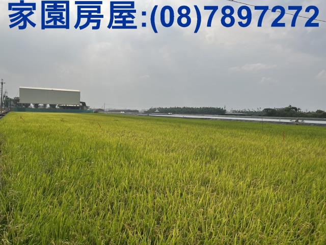 屏東萬丹農地_休閒地-4