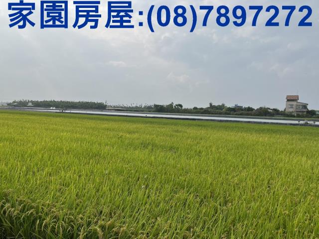 屏東萬丹農地_休閒地_養殖地-3
