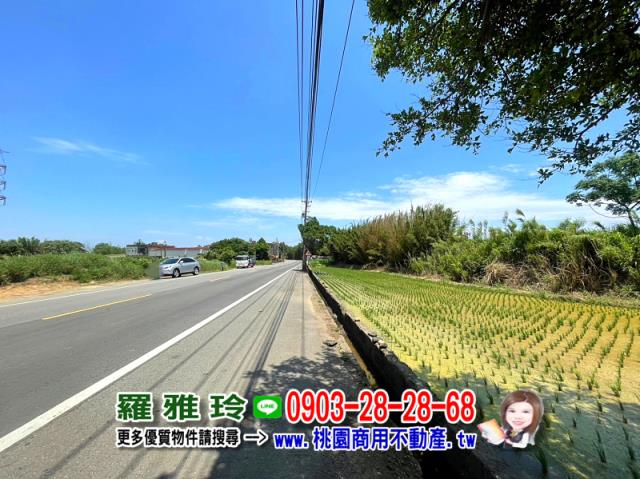 楊梅農地-7