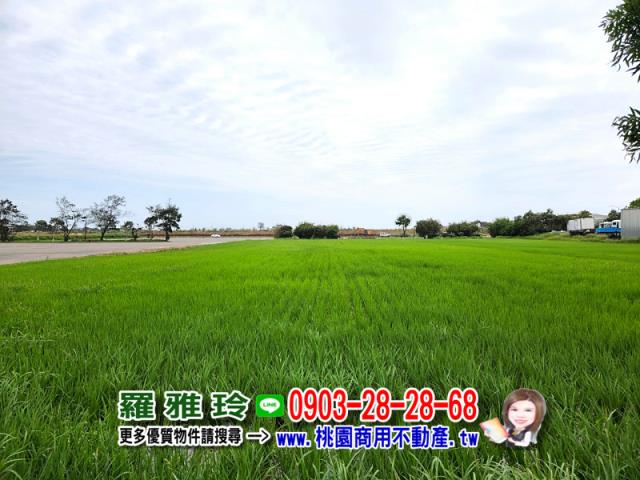 桃園農地-2
