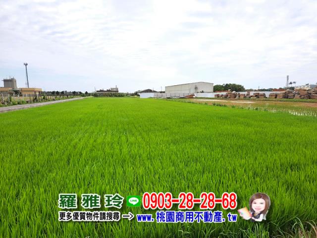 桃園農地-4