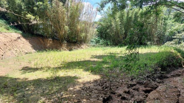 新竹農地_山坡地_休閒地-11