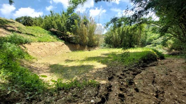 新竹農地_山坡地_休閒地-12