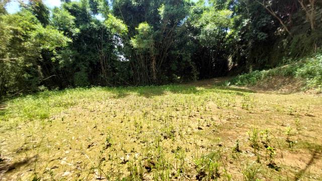 新竹農地_山坡地_休閒地-14