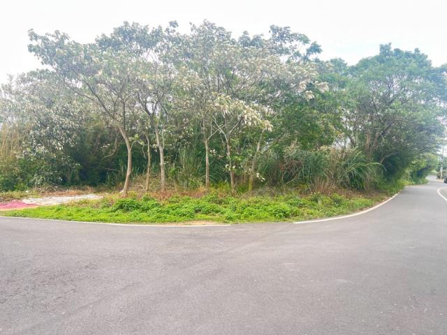 桃園龍潭農地-4