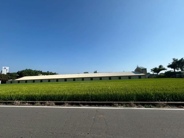 大雅農地-0
