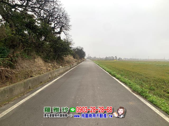 桃園農地-4