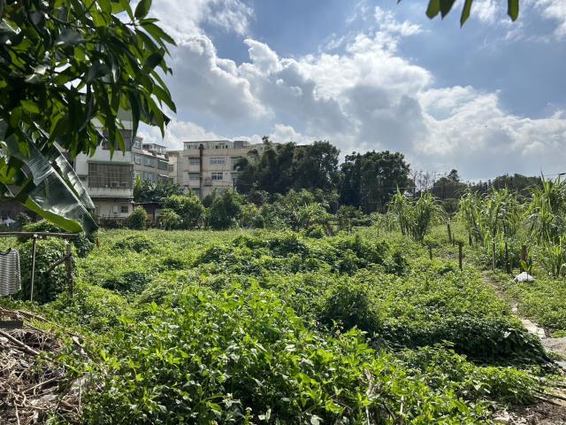 桃園桃園區建地_工業地-1