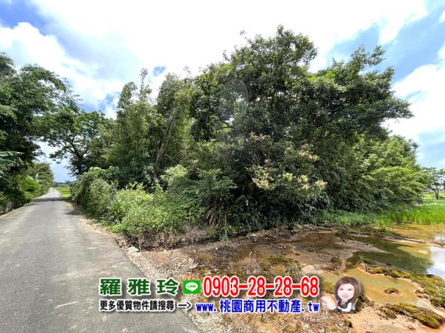桃園中壢農地_建地-3