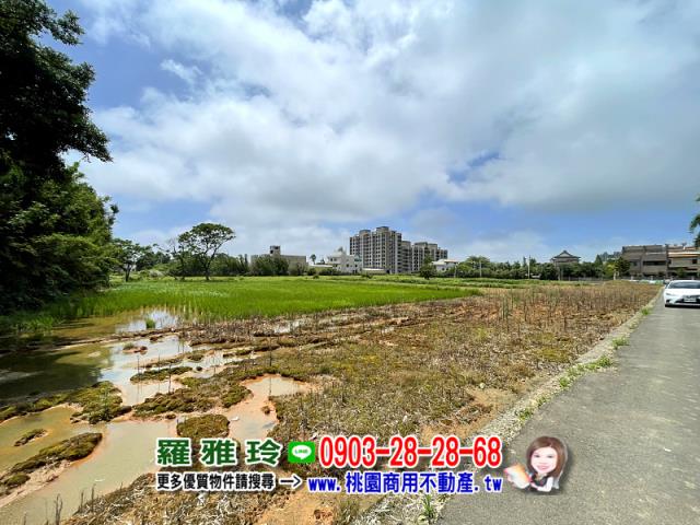 桃園中壢農地_建地-4