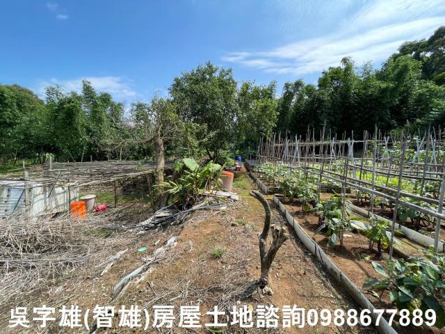 士林農地_建地_住宅地-10