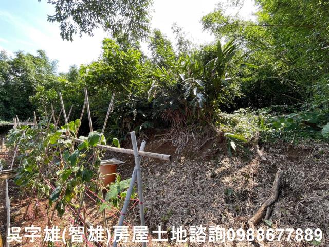 士林農地_建地_住宅地-11