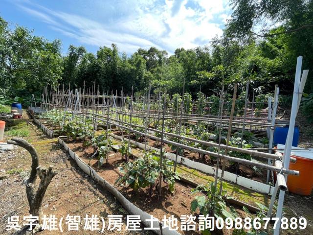 士林農地_建地_住宅地-12