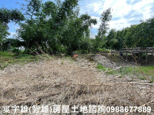 士林農地_建地_住宅地-7
