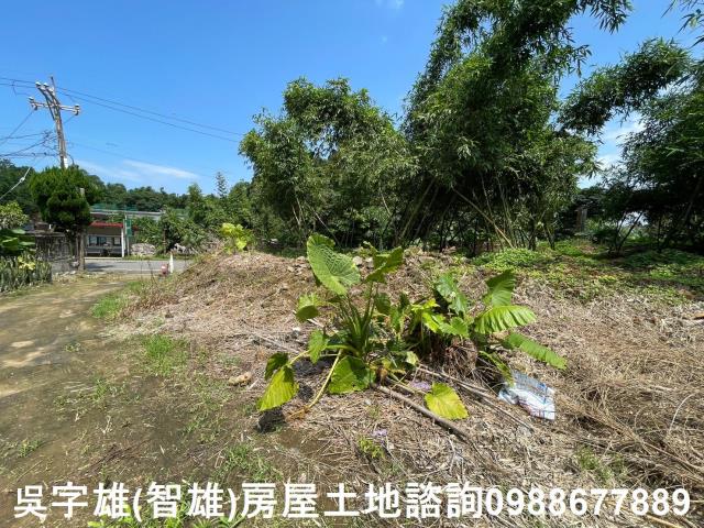 士林農地_建地_住宅地-8