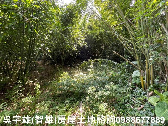 士林農地_建地_住宅地-9