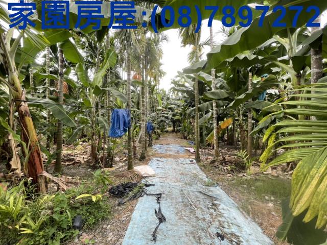 潮州農地-2