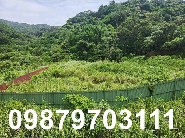 桃園工業地-1