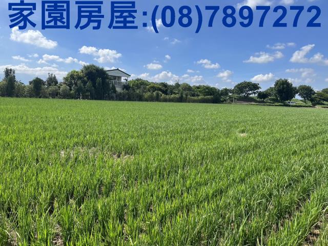 屏東萬丹農地_休閒地-1