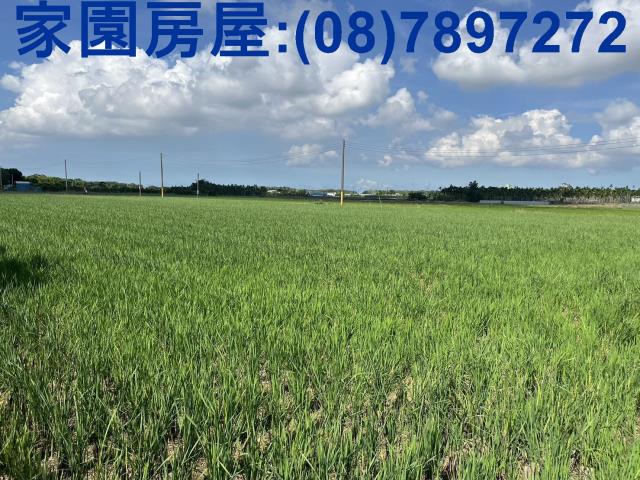 屏東萬丹農地_休閒地-2
