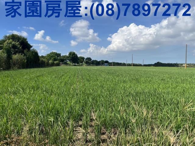 屏東萬丹農地_休閒地-3