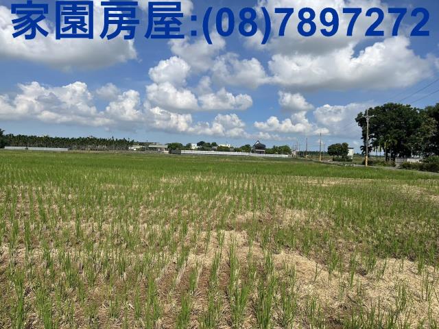 屏東萬丹農地_休閒地-4