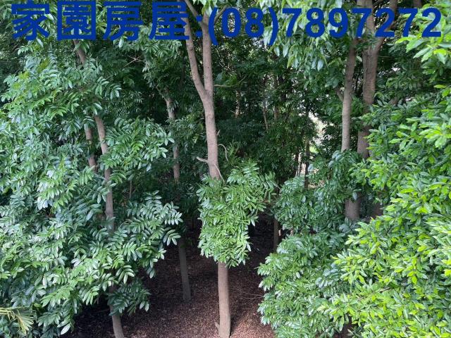 屏東萬丹農地_休閒地-6