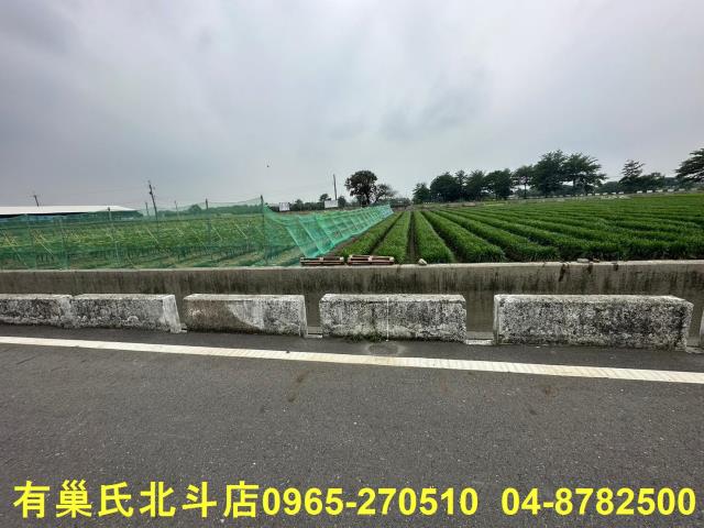 彰化田尾農地-4