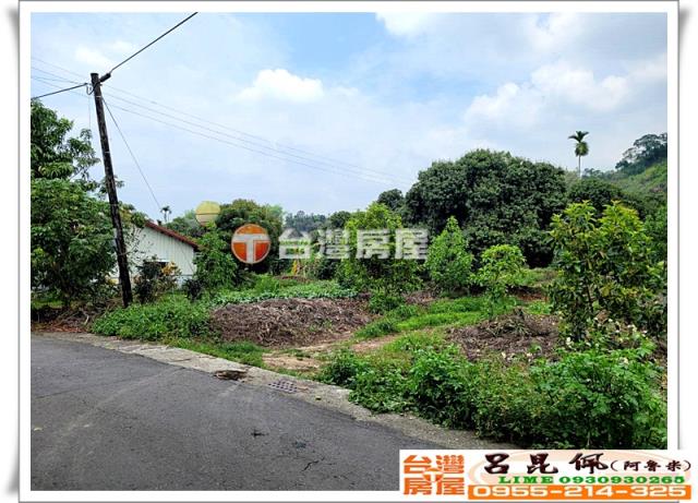 竹崎農地_建地_農建地-3