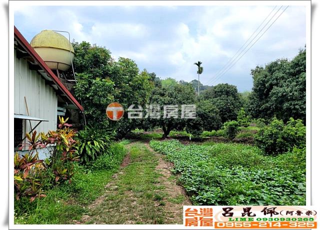 竹崎農地_建地_農建地-5