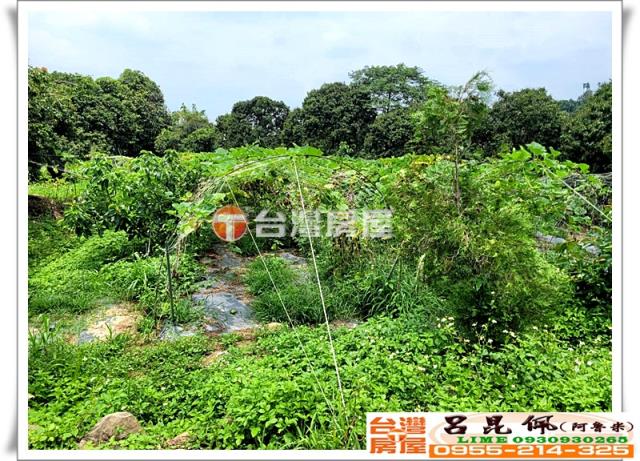 竹崎農地_建地_農建地-6