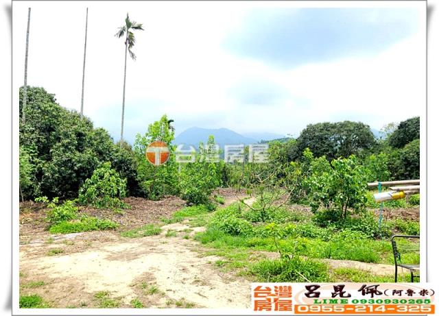 竹崎農地_建地_農建地-8
