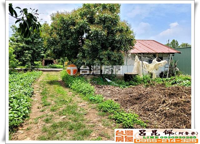 竹崎農地_建地_農建地-9