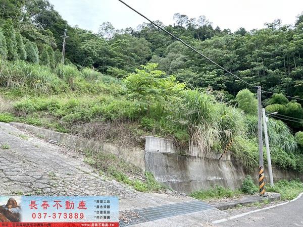 苗栗農地_山坡地_休閒地-10