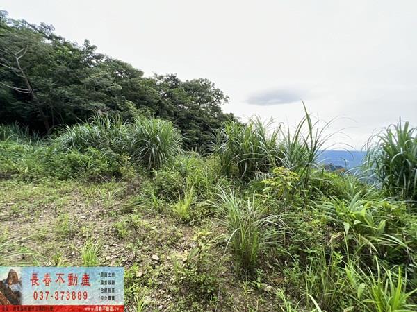 苗栗農地_山坡地_休閒地-1