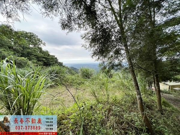 苗栗農地_山坡地_休閒地-2