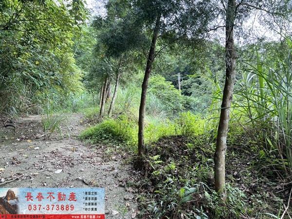 苗栗農地_山坡地_休閒地-3