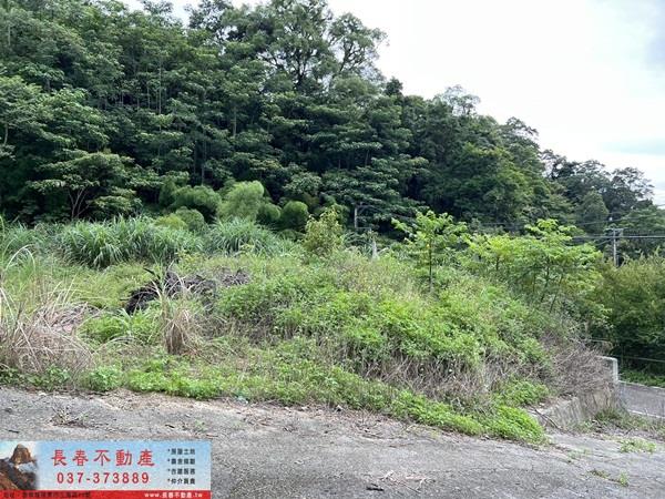 苗栗農地_山坡地_休閒地-4